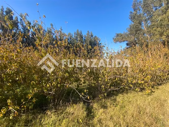 PARCELA EN VENTA ISLA DE MAIPO 3 HA CERT. ORGÁNICA MAQUIS