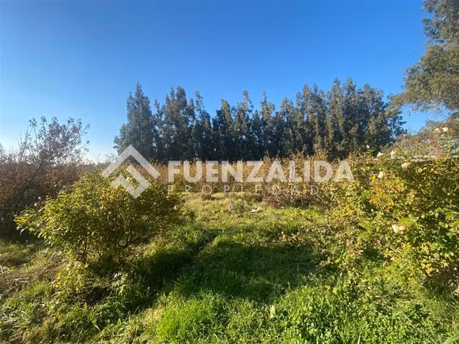 PARCELA EN VENTA ISLA DE MAIPO 3 HA CERT. ORGÁNICA MAQUIS