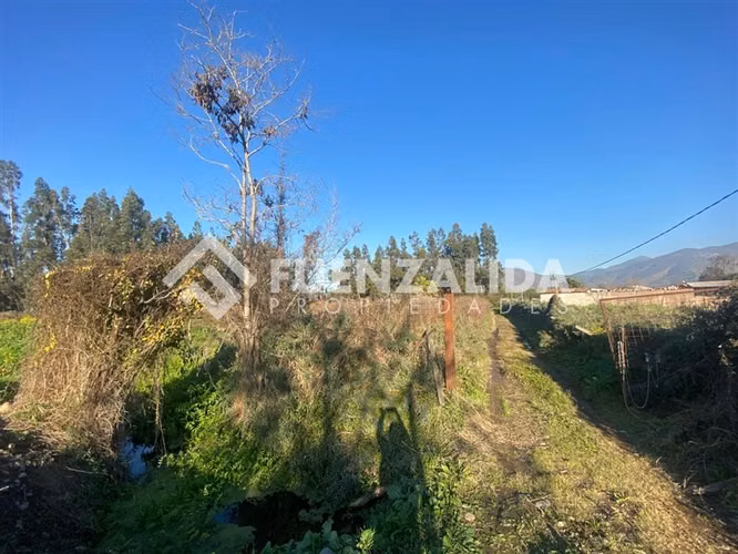 TERRENO AGRÍCOLA VENTA ISLA DE MAIPO 3 HA CERT. ORGANICA - Imagen 9