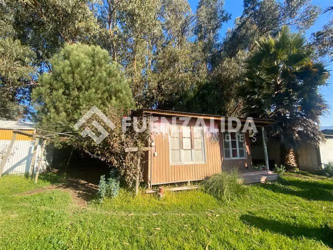 TERRENO AGRÍCOLA VENTA ISLA DE MAIPO 3 HA CERT. ORGANICA - Imagen 12