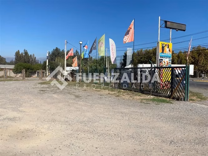 Local Comercial en Venta en Talagante