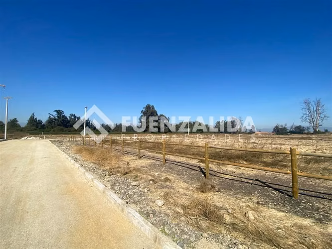 EN VENTA PARCELAS 5.000 m2, UF5.000 Carampangue, Talagante