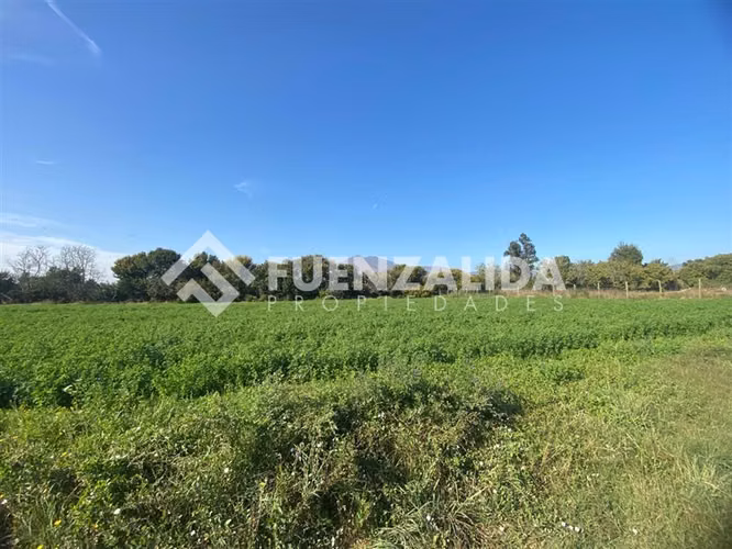 EN VENTA PARCELAS 5.000 m2 Talagante UF3.300