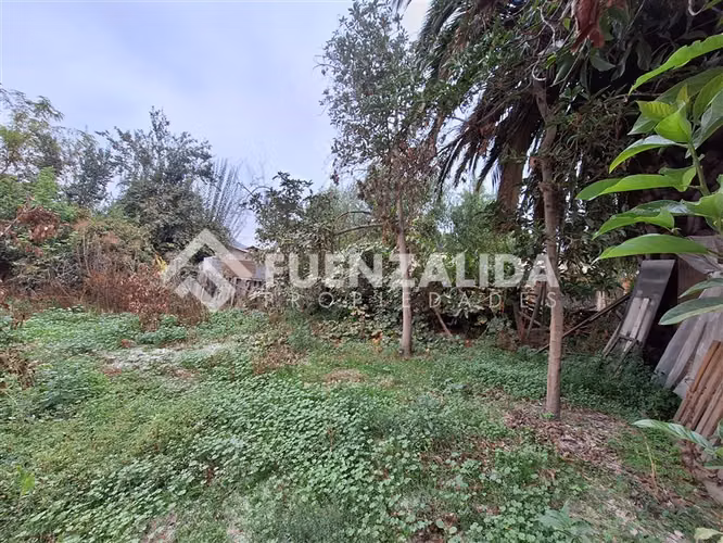 Sitio en Venta en Peñaflor - Imagen 10