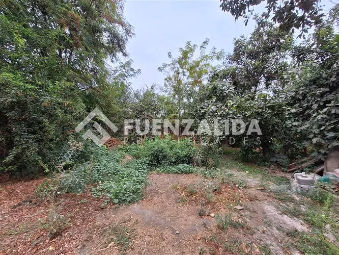 Sitio en Venta en Peñaflor - Imagen 6