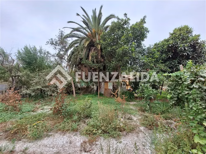 Sitio en Venta en Peñaflor - Imagen 5