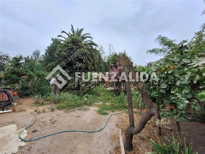 Sitio en Venta en Peñaflor - Imagen 8