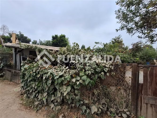 Sitio en Venta en Peñaflor - Imagen 13