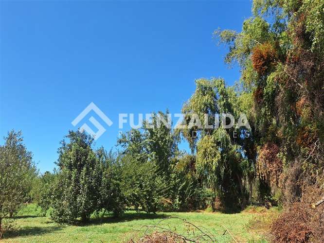 Parcela en venta en Isla de Maipo colegio Trebulco - Imagen 17