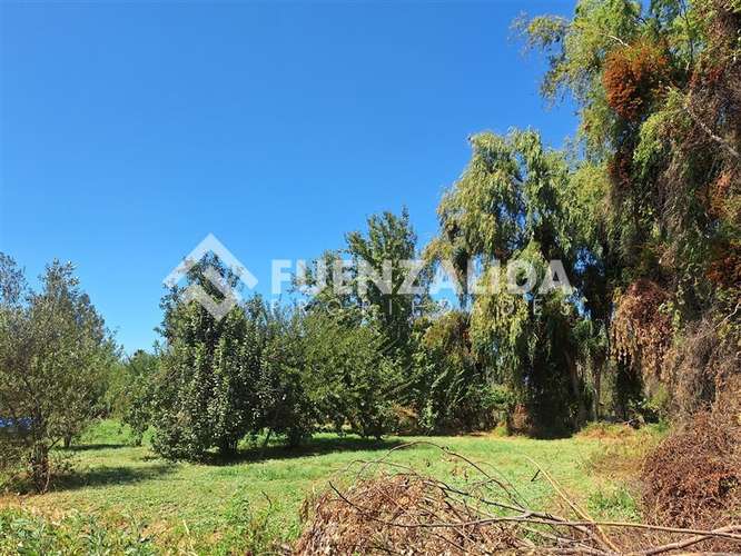 Parcela en venta en Isla de Maipo colegio Trebulco - Imagen 16