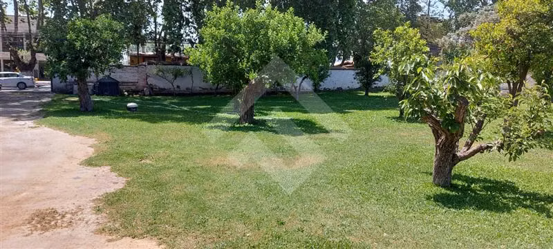 Oficina arriendo amplio terreno centro Isla de Maipo