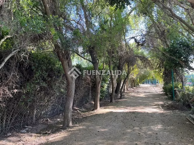 Parcela en venta en Talagante