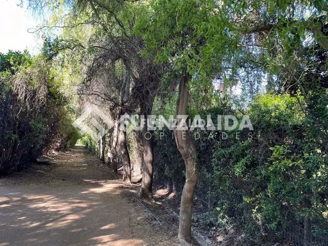 Parcela en venta en Talagante