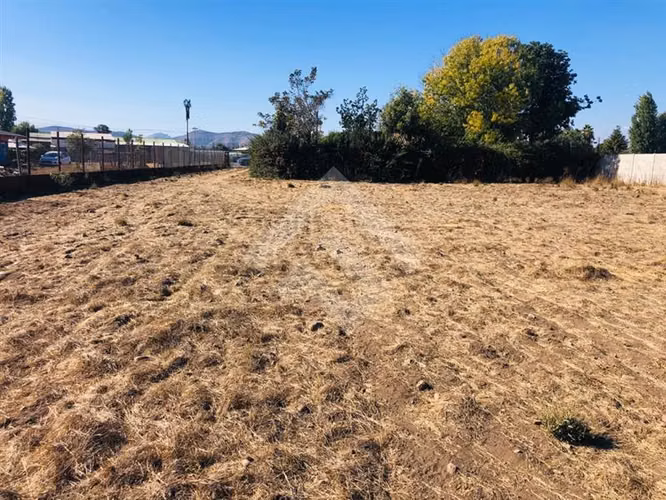 Sitio en Venta en Peñaflor - Imagen 6