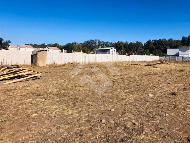 Sitio en Venta en Peñaflor - Imagen 5