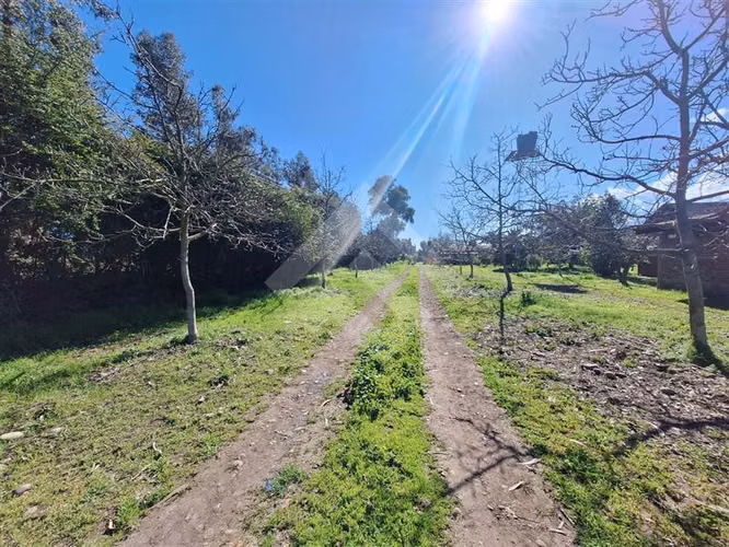 Parcela en venta en Talagante. Colegio Trebulco Carampangue