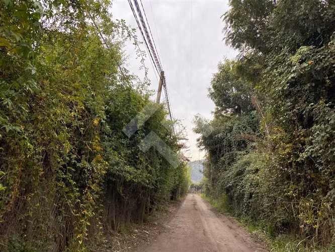 Parcela 10.000m c/casa amoblada arriendo Talagante