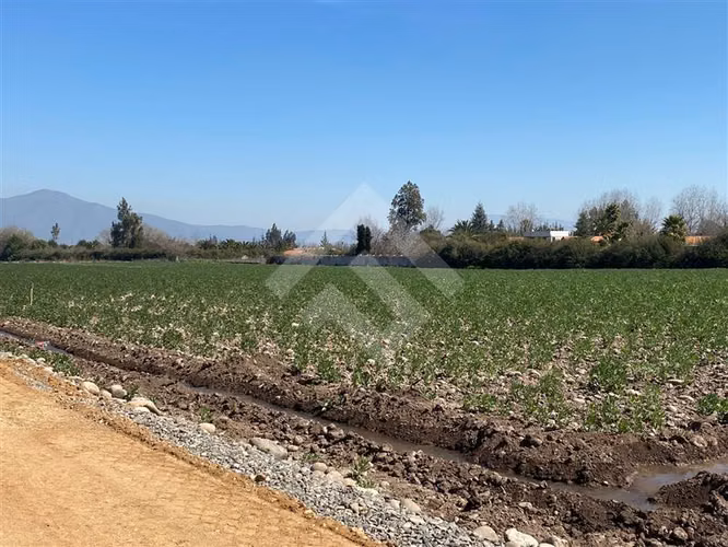 OPORTUNIDAD Parcela en venta en Talagante