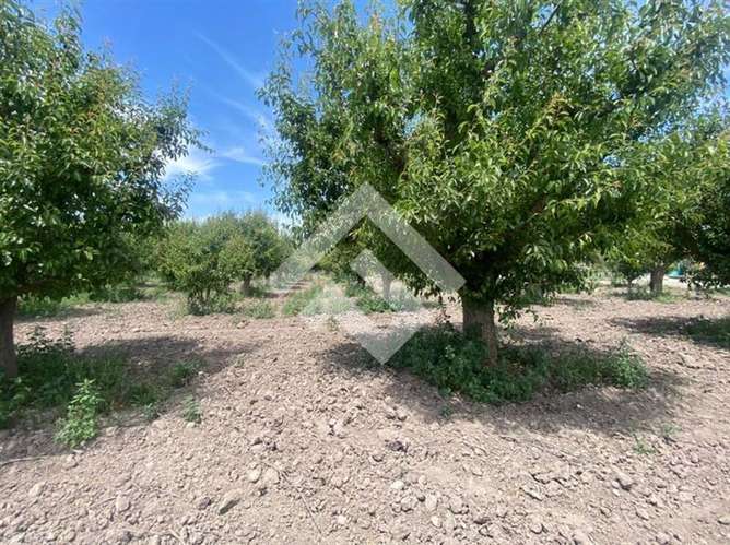 Terreno Construccion  en Venta en Isla de Maipo - Imagen 3