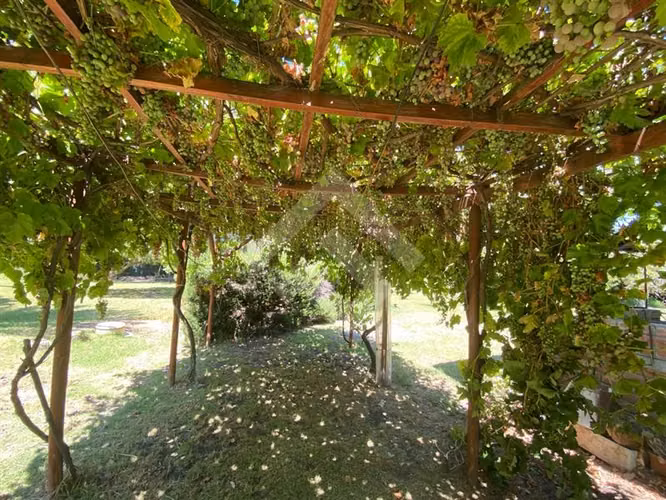 Vendo parcela c/casa 3D 2B terraza Quincho en Talagante