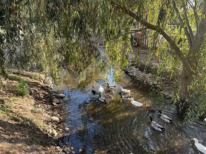 Parcela en venta en Talagante