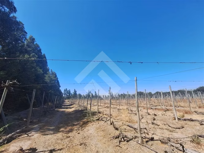 Bodega en arriendo en Talagante