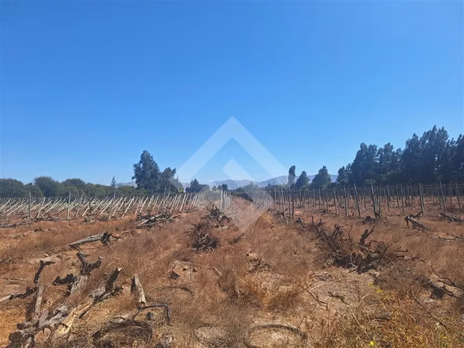 Bodega en arriendo en Talagante