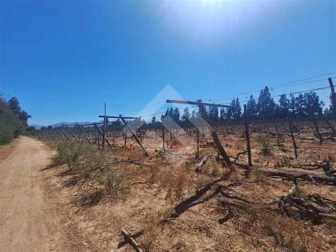 Bodega en arriendo en Talagante