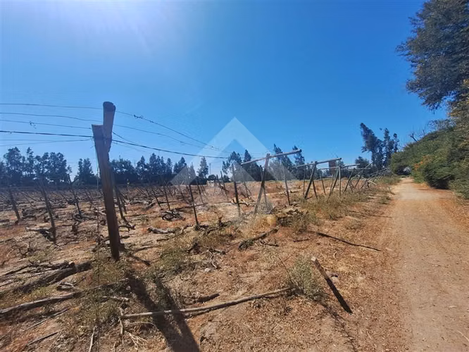 Bodega en arriendo en Talagante
