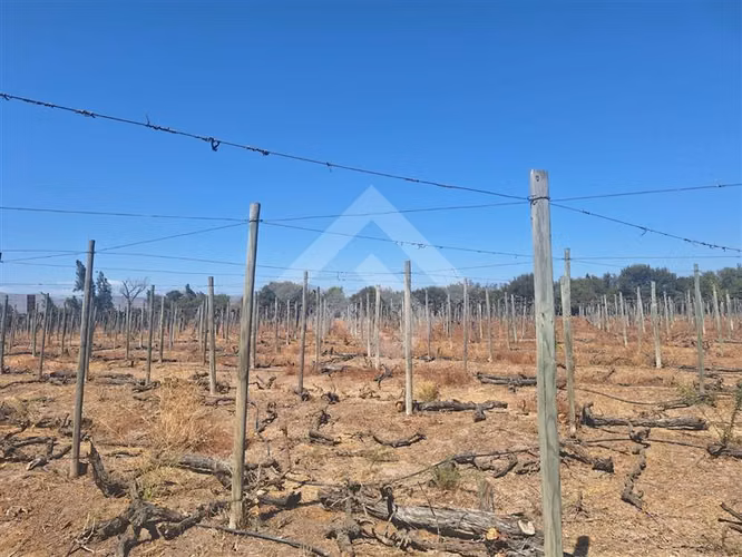 Sitio en arriendo en Talagante