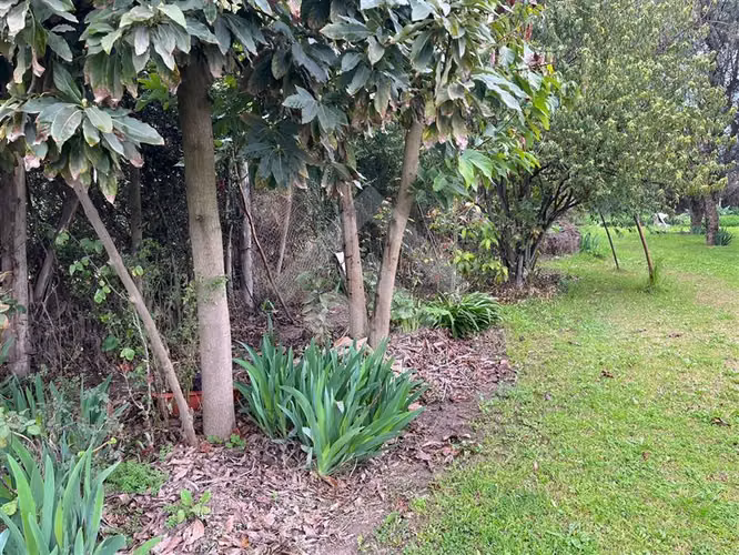 Parcela en venta en Talagante