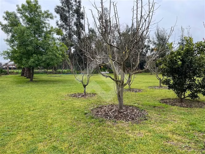 Parcela en venta en Talagante