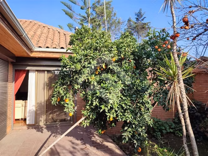 Local Comercial con casa en venta en buen sector Talagante.