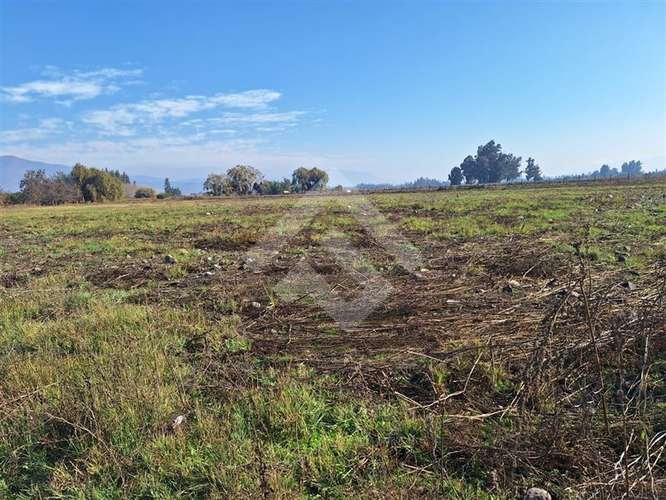 Sitio en venta en Talagante - Imagen 6