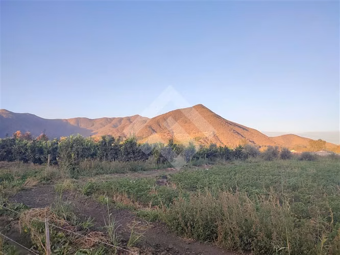 Parcela 16.000 mts2 c/ casa y producción en El Monte