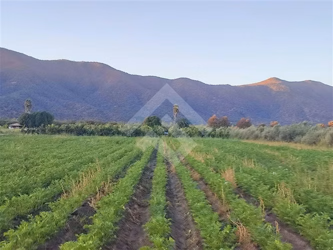 Casa en parcela 16.000 mts2 y producción en El Monte