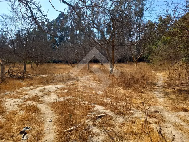 Parcela en venta en Calera de Tango