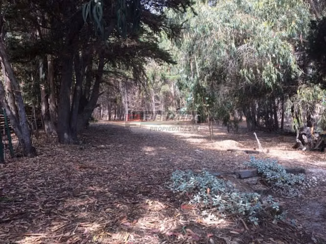 Sitio en Venta en Puchuncaví