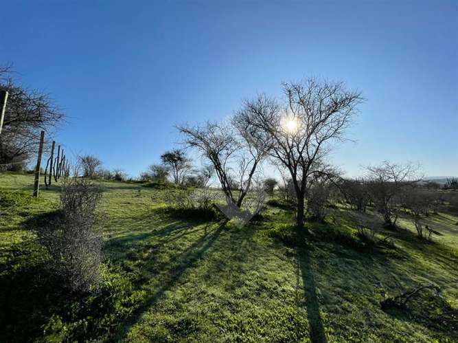 Sitio en venta en Melipilla 2 hectáreas - Imagen 5