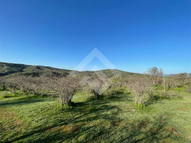 Sitio en venta en Melipilla 2 hectáreas - Imagen 13
