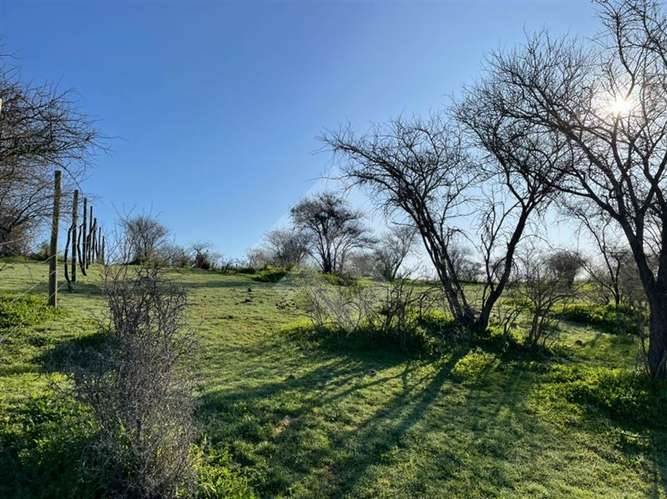 Sitio en venta en Melipilla 2 hectáreas - Imagen 3