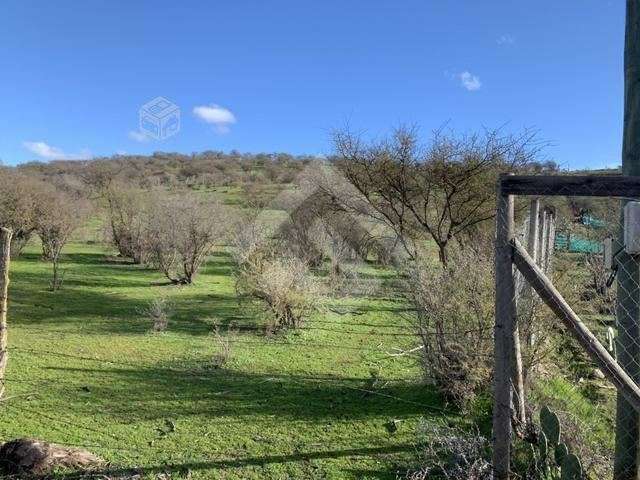 Sitio en venta en Melipilla 2 hectáreas - Imagen 2