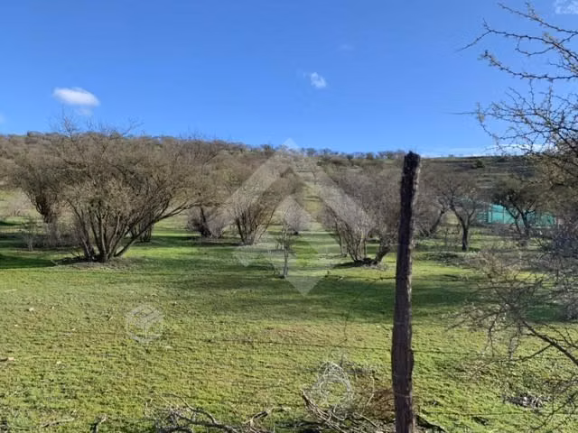 Parcela en venta en Melipilla 2 hectáreas