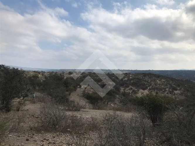 Agrícola en venta en Melipilla 2 hectareas - Imagen 9
