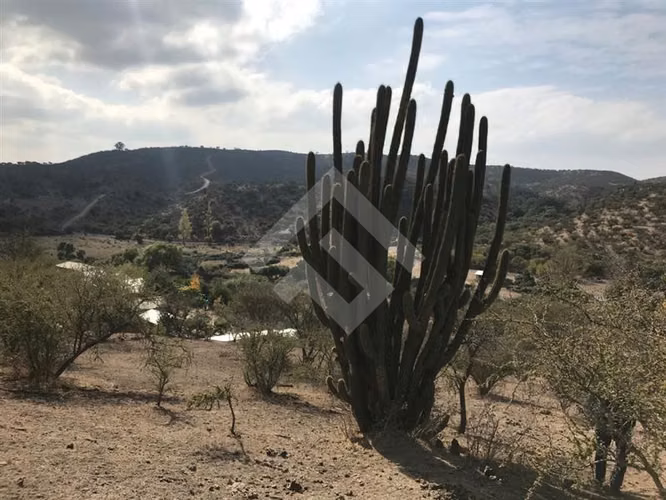 Agrícola en venta en Melipilla 2 hectareas - Imagen 6