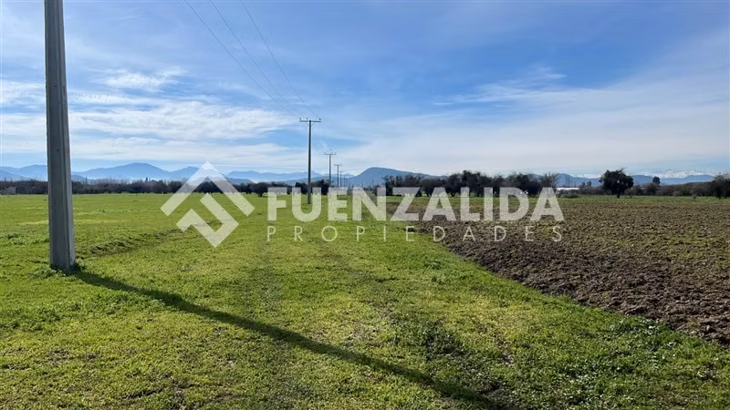 Agrícola en Venta en San Vicente