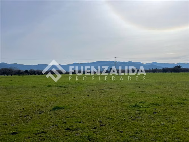 Agrícola en Venta en San Vicente