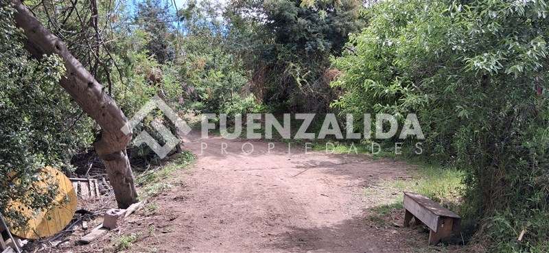 Terreno Santa Sofía, Lo Cañas, La Florida - Imagen 5