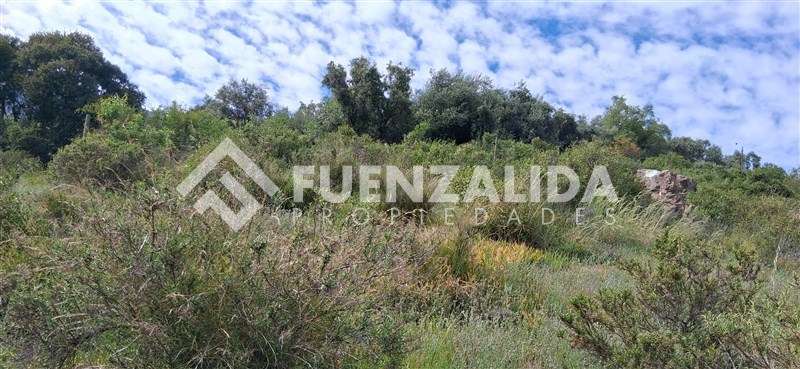 Terreno Santa Sofía, Lo Cañas, La Florida - Imagen 9