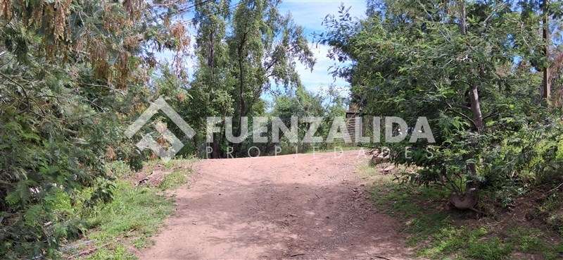 Terreno Santa Sofía, Lo Cañas, La Florida - Imagen 4
